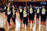 20170425163933_DSC_0800: Foto: Taneční skupiny podesáté soutěžily o „Čáslavský Čtyřlístek“