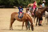 5g6h2237: Foto: Na sobotním „odpoledni s koňmi“ v Čestíně si užili spoustu soutěží