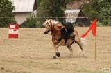 5g6h2284: Foto: Na sobotním „odpoledni s koňmi“ v Čestíně si užili spoustu soutěží