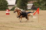 5g6h2285: Foto: Na sobotním „odpoledni s koňmi“ v Čestíně si užili spoustu soutěží
