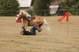5g6h2287: Foto: Na sobotním „odpoledni s koňmi“ v Čestíně si užili spoustu soutěží