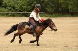 5g6h2325: Foto: Na sobotním „odpoledni s koňmi“ v Čestíně si užili spoustu soutěží