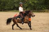 5g6h2375: Foto: Na sobotním „odpoledni s koňmi“ v Čestíně si užili spoustu soutěží