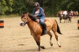 5g6h2436: Foto: Na sobotním „odpoledni s koňmi“ v Čestíně si užili spoustu soutěží