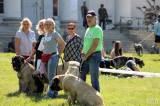 20170527112209_IMG_6309: Foto: Na výstavě psů na zámku Kačina bylo k vidění téměř tři stovky psů 65 plemen