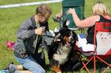 20170527112214_IMG_6354: Foto: Na výstavě psů na zámku Kačina bylo k vidění téměř tři stovky psů 65 plemen