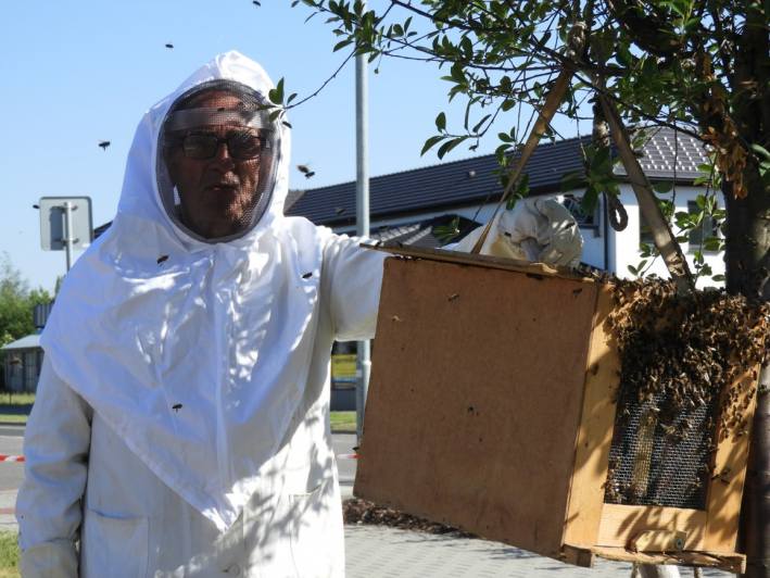 Do Jeníkovské ulice v Čáslavi přivolali k roji včelaře