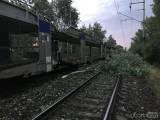 20170629043855_image4: Nákladní vlak najel do stromu, doprava mezi Kutnou Horou a Kolínem stála