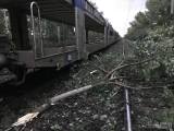 20170629043855_image5: Nákladní vlak najel do stromu, doprava mezi Kutnou Horou a Kolínem stála