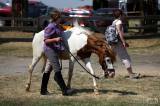 5g6h4032: Foto: Sobotní den na Ranči Dalu v Kozohlodech věnovali sportovní s koňmi