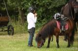 20170812175526_5G6H1370: Foto: Na sobotním „odpoledni s koňmi“ v Čestíně si užili spoustu soutěží