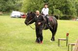 20170812175527_5G6H1383: Foto: Na sobotním „odpoledni s koňmi“ v Čestíně si užili spoustu soutěží