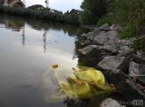 20170902000622_DSCN7608: Okolí čáslavského rybníku Homolka se stává smetištěm!