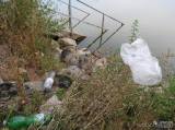 20170902000622_DSCN7609: Okolí čáslavského rybníku Homolka se stává smetištěm!