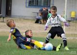 img_8055: Foto: Mladí fotbalisté poměřili své síly na turnaji v Nových Dvorech