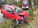 20171012173732_DN_1010: U obce u obce Mančice bouralo osobní auto, narazilo do stromu