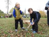 20171022104259_22: Foto: Na čáslavském Hrádku se děti seznámily s prací archeologů