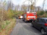 20171029184626_cestin03: Dobrovolní hasiči zasahovali u třinácti případů popadaných stromů
