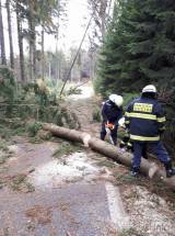20171029184626_cestin06: Dobrovolní hasiči zasahovali u třinácti případů popadaných stromů