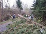 20171029184627_cestin07: Dobrovolní hasiči zasahovali u třinácti případů popadaných stromů