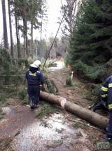 20171029184627_cestin08: Dobrovolní hasiči zasahovali u třinácti případů popadaných stromů