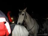 20171109211616_DSCN8968: Foto: Lampiónový průvod centrem Čáslavi navštívil svatý Martin na bílém koni