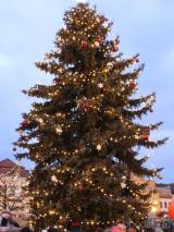 20171203181742_DSCN9367: Foto, video: Na Žižkově náměstí v Čáslavi se v neděli rozzářil vánoční strom