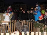 20171203181742_DSCN9375: Foto, video: Na Žižkově náměstí v Čáslavi se v neděli rozzářil vánoční strom