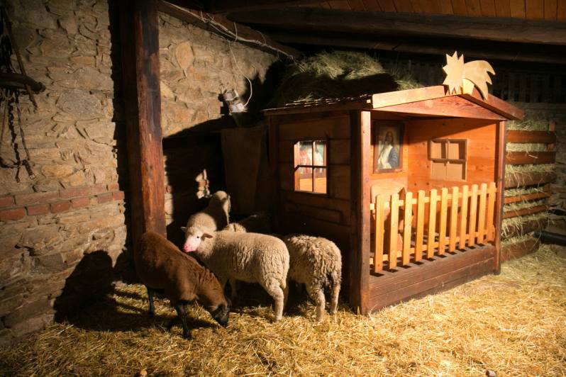 Na statku v Libodřicích zavládla v neděli pravá vánoční atmosféra