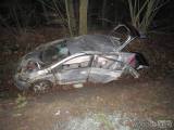 20180112141240_DN201801122: Vozidlo dostalo smyk a narazilo do stromu, nehoda se obešla bez vážných zranění