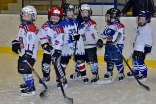Kozlové přivítali nové dětičky, aneb Týden hokeje v Kolíně