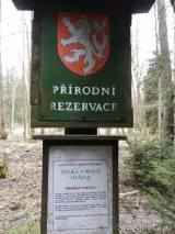 20180401005326_DSCN3155: Výlet do Chraňbožského lesa u Zbýšova slibuje jedinečný zážitek