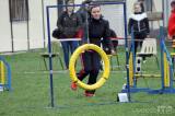 20180409113342_IMG_2741: Foto: Kutnohorský cvičák hostil o víkendu závody v agility