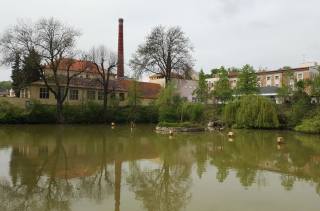 Kutnohorská rada by ráda odbahnila rybník v Lorci, žádá o dotaci