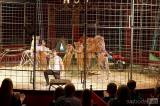 img_5294m: Foto: Prvnímu představení cirkusu Humberto diváci tleskali ve čtvrtek