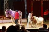 img_5407m: Foto: Prvnímu představení cirkusu Humberto diváci tleskali ve čtvrtek