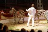 img_5417m: Foto: Prvnímu představení cirkusu Humberto diváci tleskali ve čtvrtek