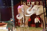 img_5466m4: Foto: Prvnímu představení cirkusu Humberto diváci tleskali ve čtvrtek