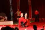 img_5531m: Foto: Prvnímu představení cirkusu Humberto diváci tleskali ve čtvrtek
