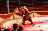 img_5604m: Foto: Prvnímu představení cirkusu Humberto diváci tleskali ve čtvrtek