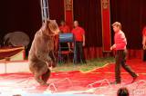 img_5610m: Foto: Prvnímu představení cirkusu Humberto diváci tleskali ve čtvrtek
