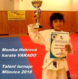 20180522201351_2018052213: Nejmladší závodníci karate Vakado přivezli z Milovic osm medailí!