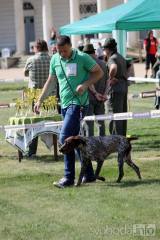 20180526122522_IMG_4943: Foto: Zámecký park na Kačině hostil oblastní výstavu psů