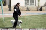 20180526122528_IMG_4954: Foto: Zámecký park na Kačině hostil oblastní výstavu psů