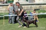 20180526122543_IMG_4979: Foto: Zámecký park na Kačině hostil oblastní výstavu psů