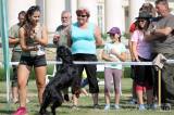 20180526122555_IMG_4998: Foto: Zámecký park na Kačině hostil oblastní výstavu psů