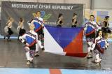 20180609211154_5G6H9505: Foto: Mažoretky bojovaly o víkendu o republikové tituly a postupy na mistrovství Evropy