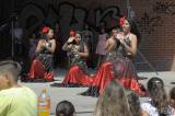 20180722133210__DSC1385_00001: Foto: Romové si na Kmochově ostrově užili svůj festival