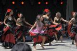 20180722133211__DSC1441_00001: Foto: Romové si na Kmochově ostrově užili svůj festival