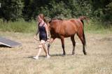 20180804143525_5G6H5533: Foto: V Čestíně na hřišti sehrál hlavní roli kůň, důležité bylo i umění jezdců